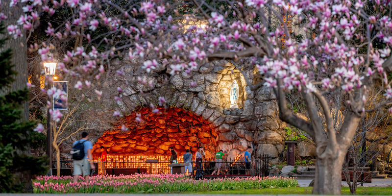 Amazing Photo from the Grotto at Notre Dame 7